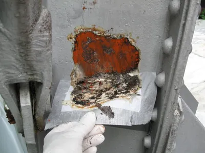 Lead Based Paint Inspection Service