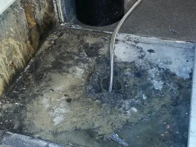 Mold Assessment Service And Testing
