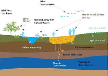 Environmental Risk Exposure Assessments
