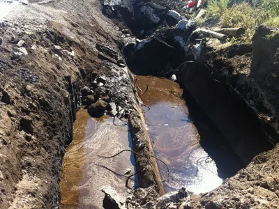 Oil Spill Cleanup Company