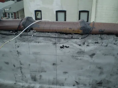 Lead Based Paint Inspection Service