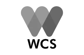 Wcs